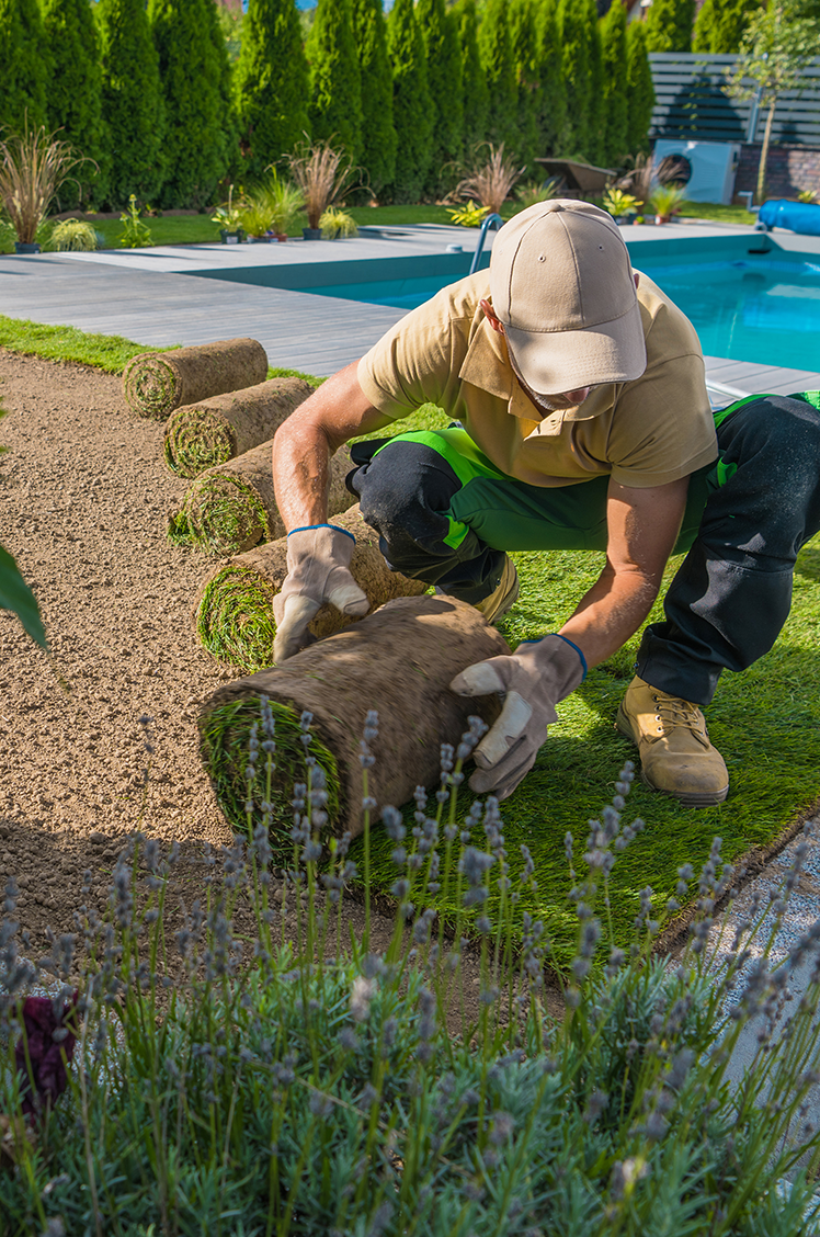 Los Angeles landscaping crew at work