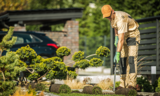 Beautiful drought-tolerant backyard in Los Angeles