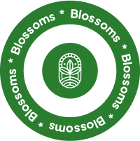 Landscape Design Process Los Angeles