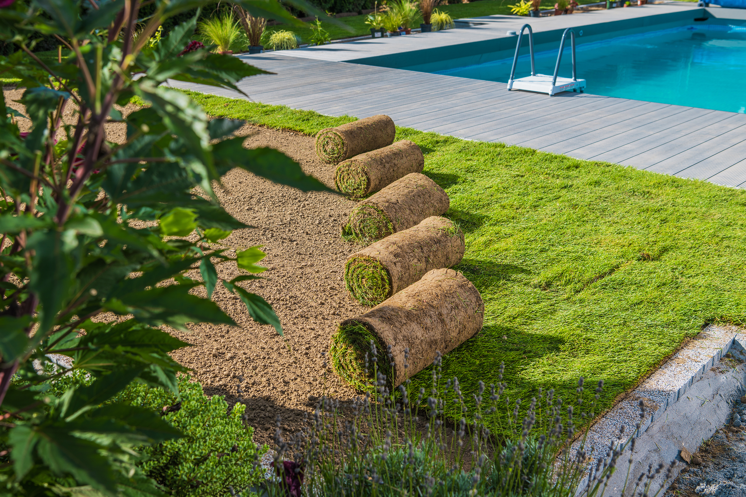 garden layout planning