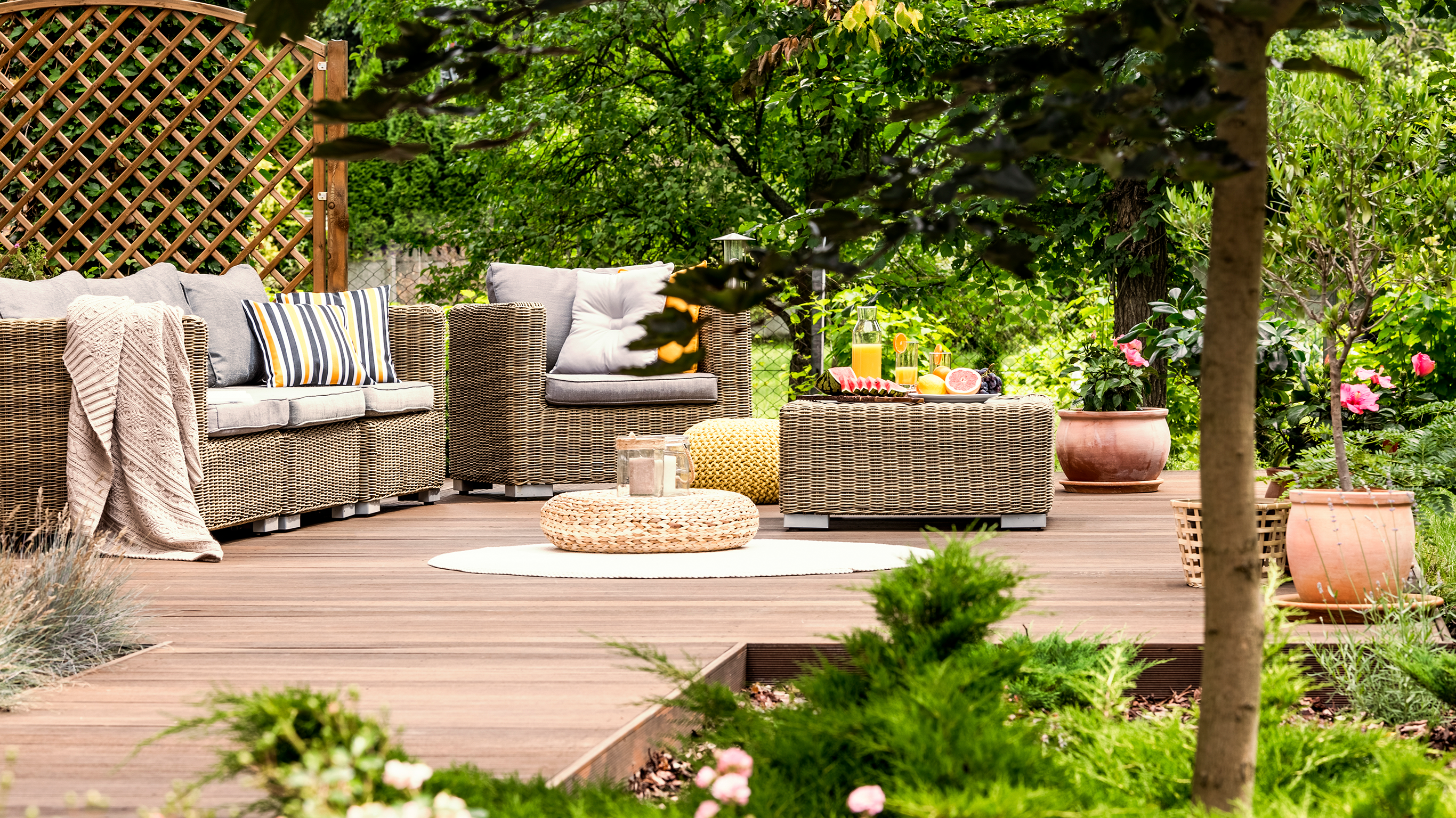 Backyard Trends 2025