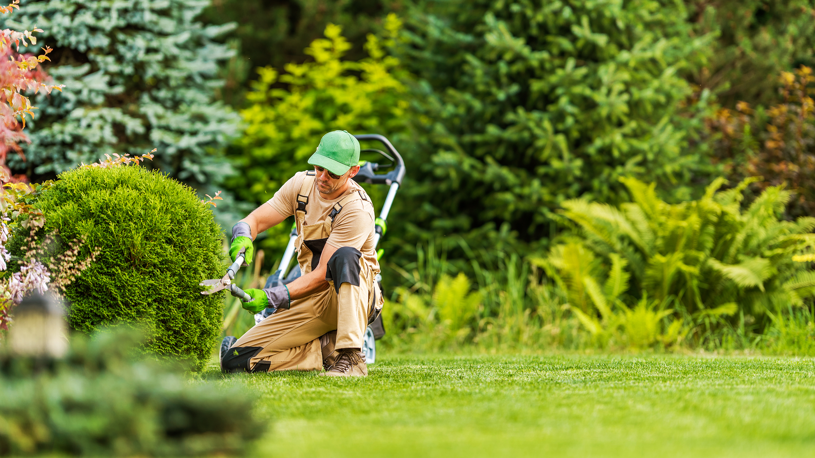 Lawn Care Tips Los Angeles