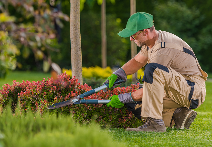 Spring Flowerbed Maintenance