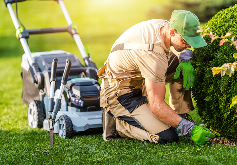 Lawn Fertilization
