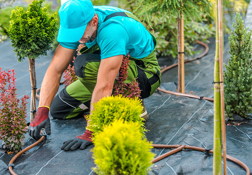 Smart Irrigation Setup LA